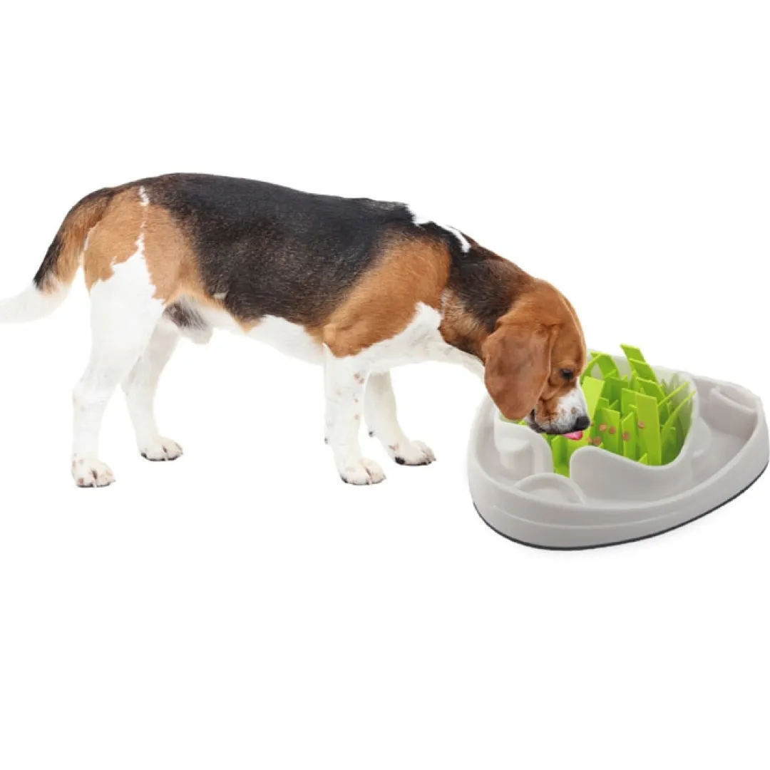 AFP All for paws AFP Dog Slow Feeder gaven til hunden
