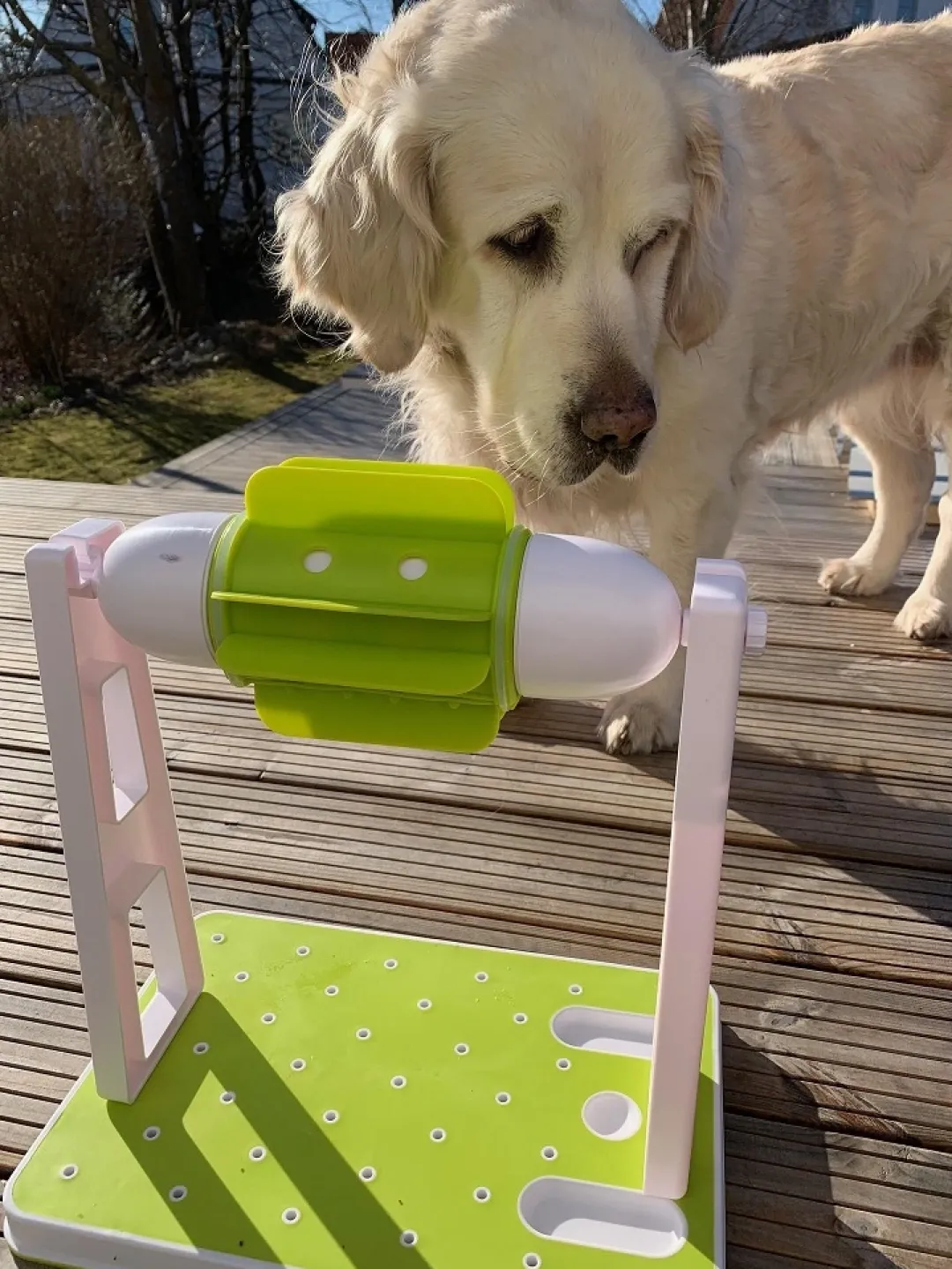 AFP All for paws AFP Godbids Turbine til Hund - aktiveringslegetøj
