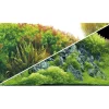 Hobby Akvariebaggrund Beplantet flod / Grønne klipper (50 cm høj) 120 cm