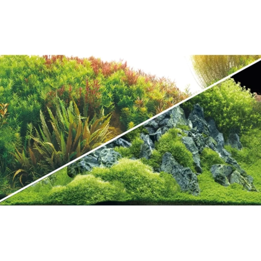 Hobby Akvariebaggrund Beplantet flod / Grønne klipper (50 cm høj) 120 cm