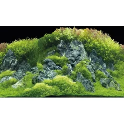 Hobby Akvariebaggrund Beplantet flod / Grønne klipper (50 cm høj) 120 cm