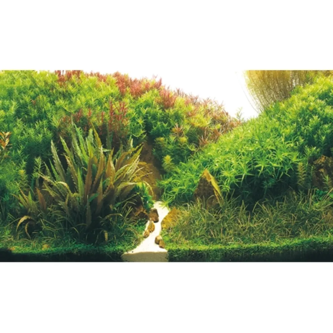 Hobby Akvariebaggrund Beplantet flod / Grønne klipper (50 cm høj) 120 cm
