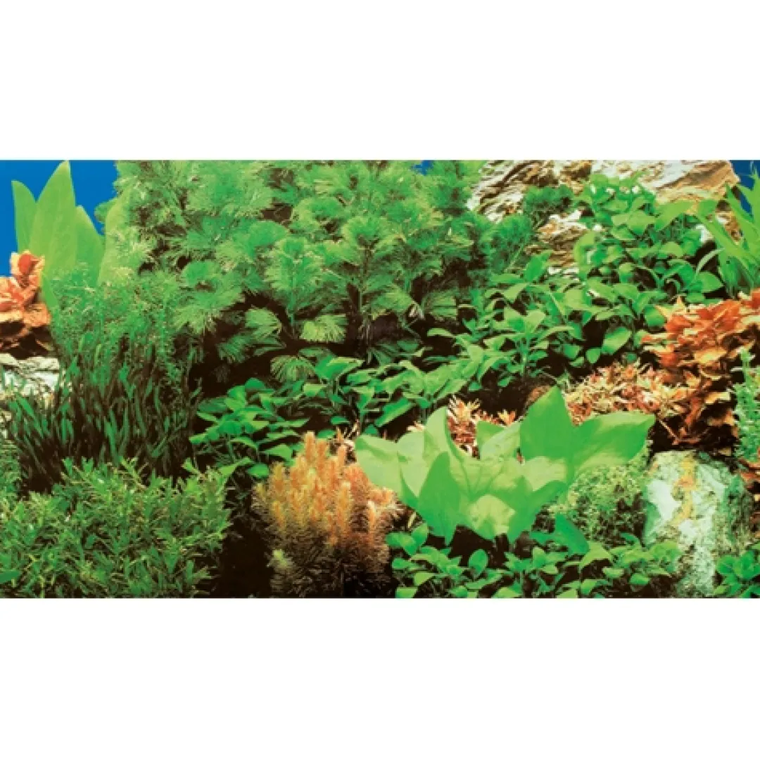 Hobby Akvariebaggrund Marin blue / Plant 8 (50 cm høj) 100 cm