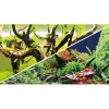 Hobby Akvariebaggrund Wood Island / Green secret (30 cm høj) 60 cm
