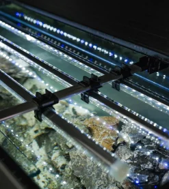 Aquael Akvarium Glossy 150 Sort 472 Liter