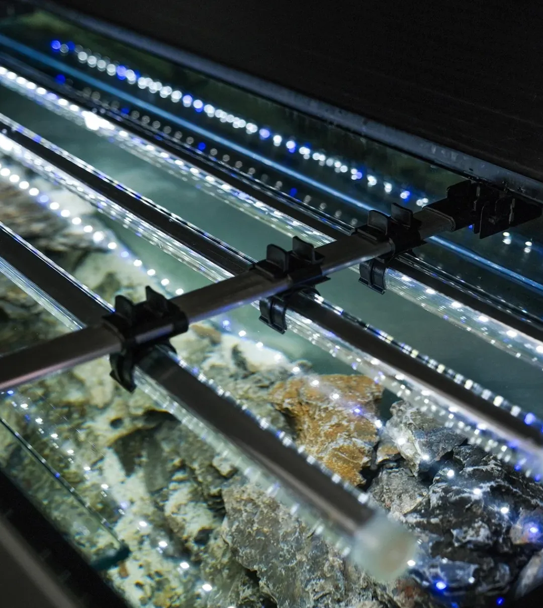 Aquael Akvarium Glossy 150 Sort 472 Liter