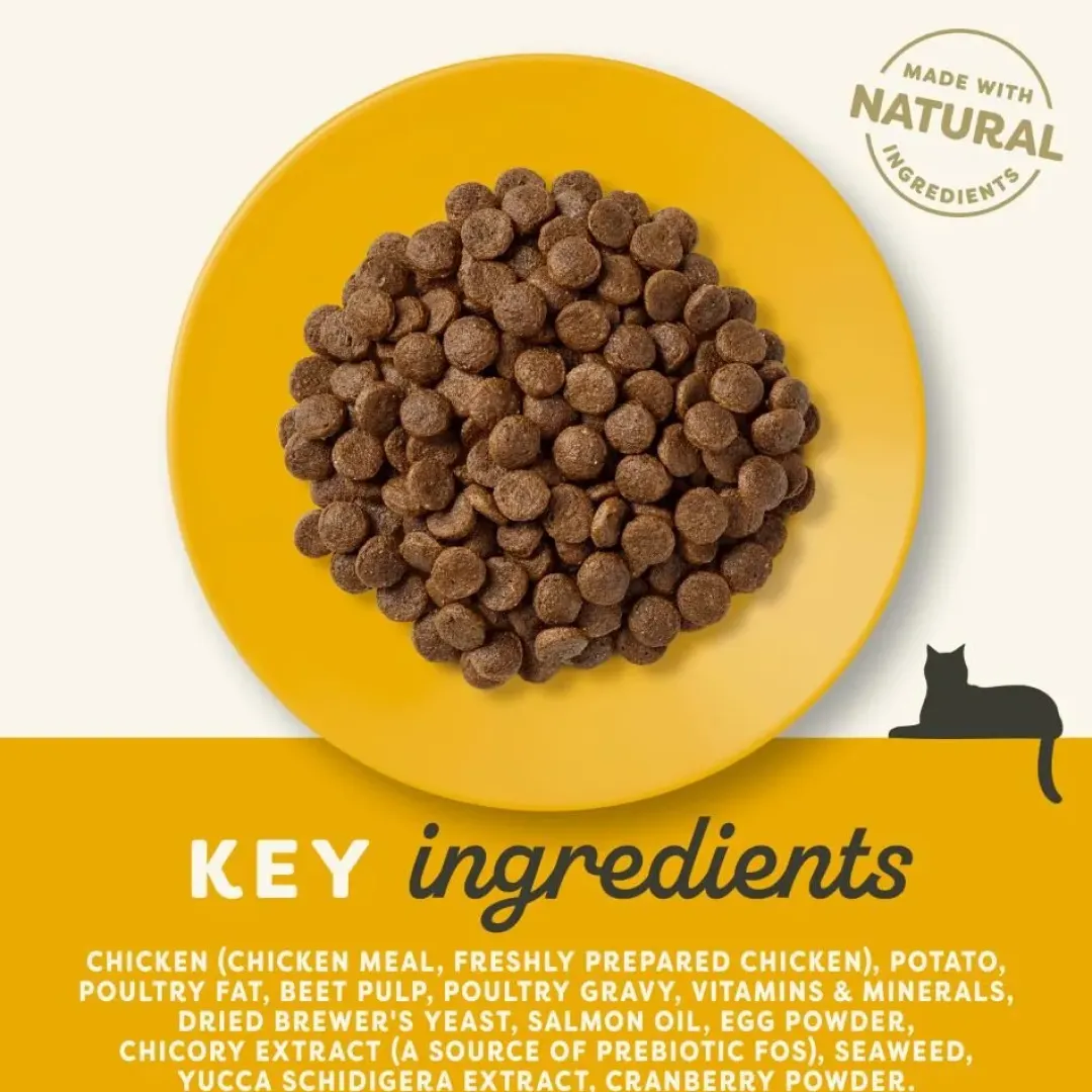 Applaws Hund & Katte mad Applaws Kattefoder Senior Kylling 2 kg