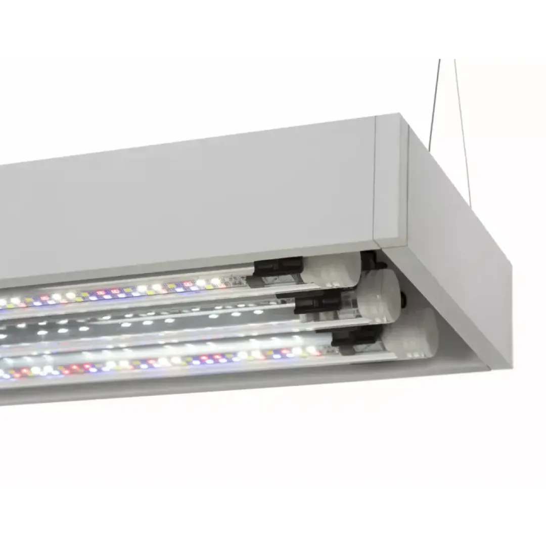 Aquael Akvarie og Lampe Ultra Scape 60 Snow