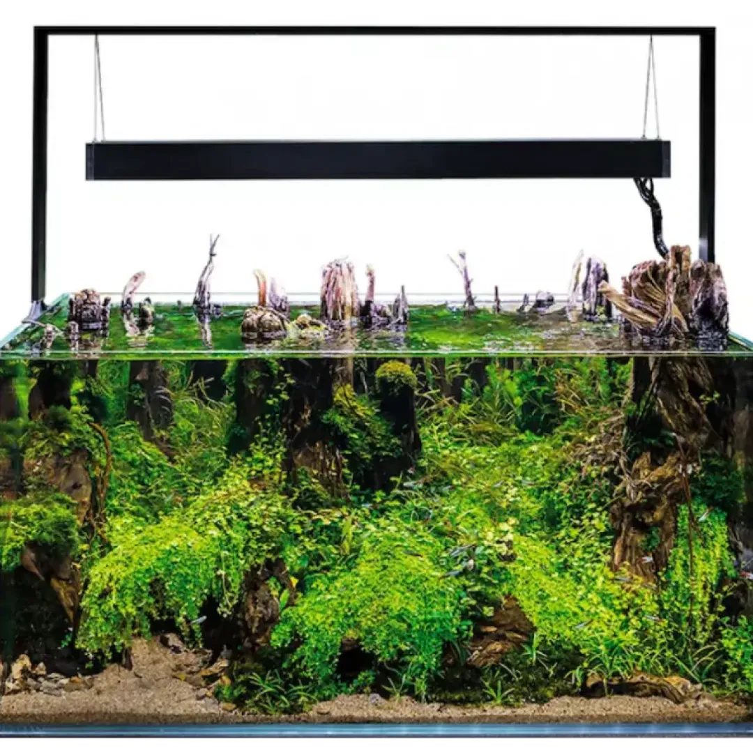 Aquael Akvarie og Lampe Ultra Scape 90 Forest