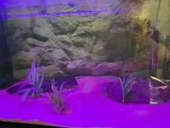 MiniZoo AquaLight LED Lampe Super Bright 16 Farver 51 cm 10 watt