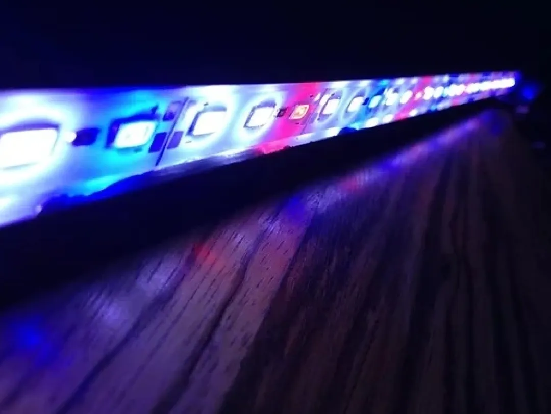 MiniZoo AquaLight LED RWB Ekstra Kraftig LED 78 cm 25 watt