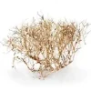 Dekoration til Akvarier og Terrarier Aquascaping Root 35-45 cm