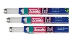 Arcadia Actinic Marine Blå lysstøfrør 30 Watt