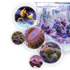 Aqua Medic Armatus XS Saltvandsakvarium med sump 4 Liter