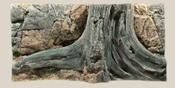 Back to Nature Amazonas 100 cm