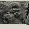 Back to Nature Orinoco Juwel 100x47 cm