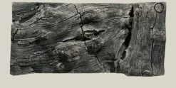 Back to Nature Orinoco Juwel 100x47 cm