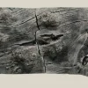 Back to Nature Orinoco Juwel 100x42 cm