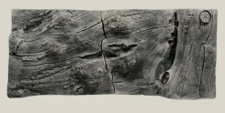 Back to Nature Orinoco Juwel 100x42 cm
