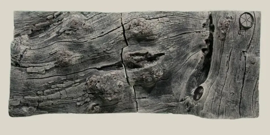 Back to Nature Orinoco Juwel 100x42 cm