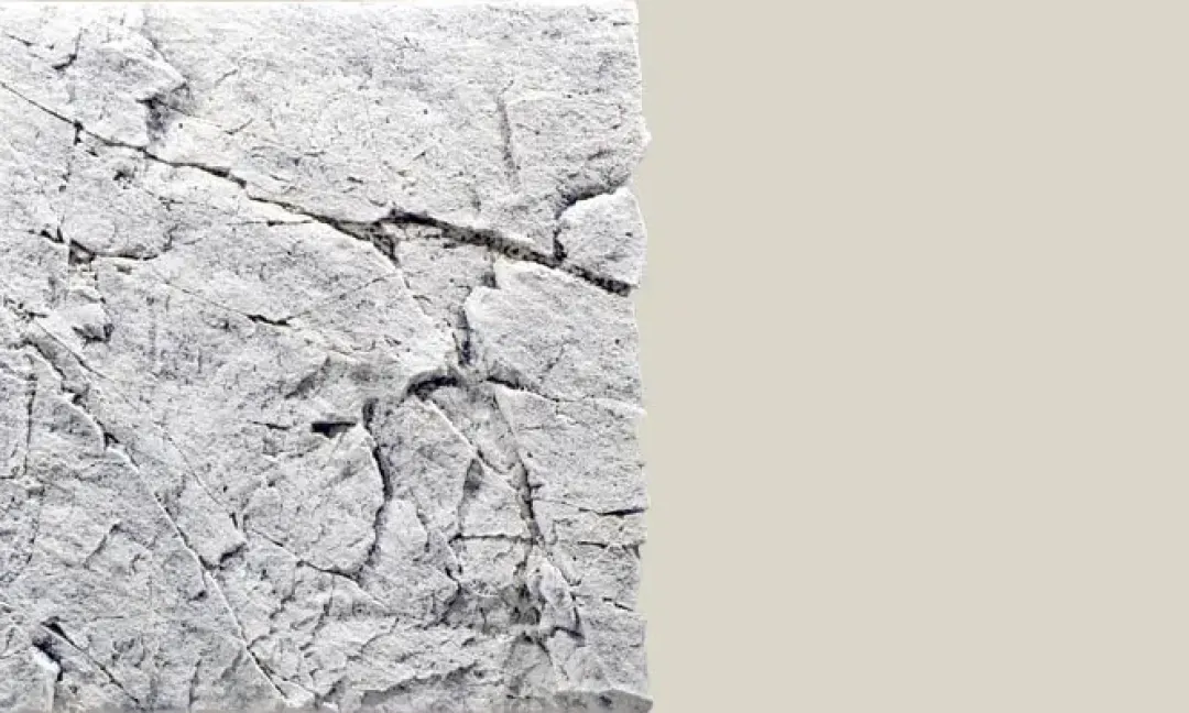 Back to Nature Slim-Line 60 A Kalk (50x55 cm)