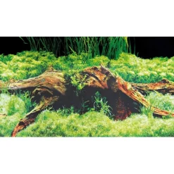 Hobby Baggrund til akvarium Beplantet og mos (30 cm høj) 60 cm