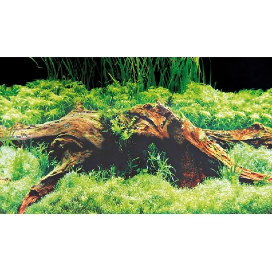 Hobby Baggrund til akvarium Beplantet og mos (30 cm høj) 60 cm
