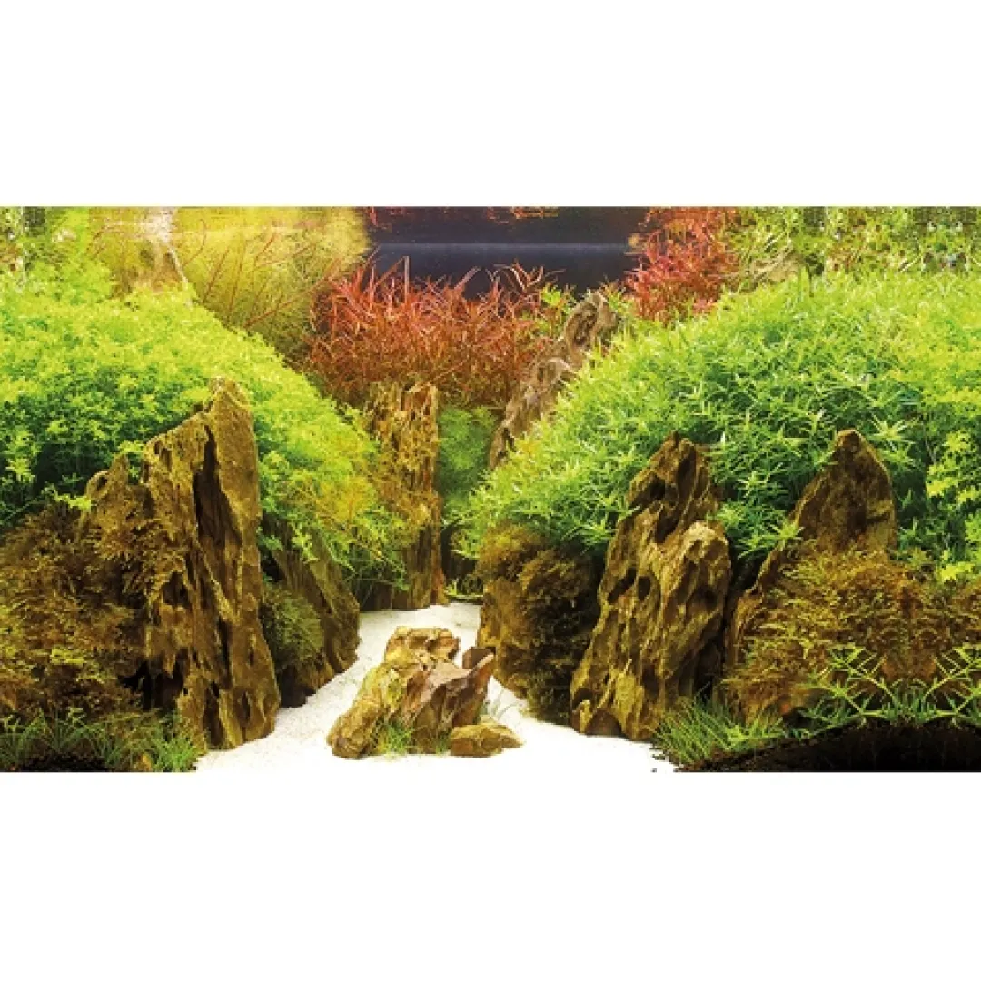 Hobby Baggrund til akvarium Canyon og Woodland (50 cm høj) 100 cm