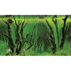 Hobby Baggrund til akvarium Canyon og Woodland (50 cm høj) 120 cm