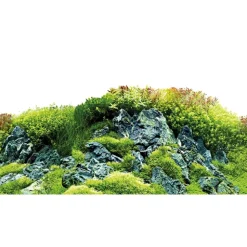 Hobby Baggrund til akvarium Scapers Hill og forest (30 cm høj) 60 cm