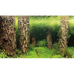 Hobby Baggrund til akvarium Scapers Hill og forest (50 cm høj) 100 cm