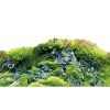 Hobby Baggrund til akvarium Scapers Hill og forest (50 cm høj) 120 cm