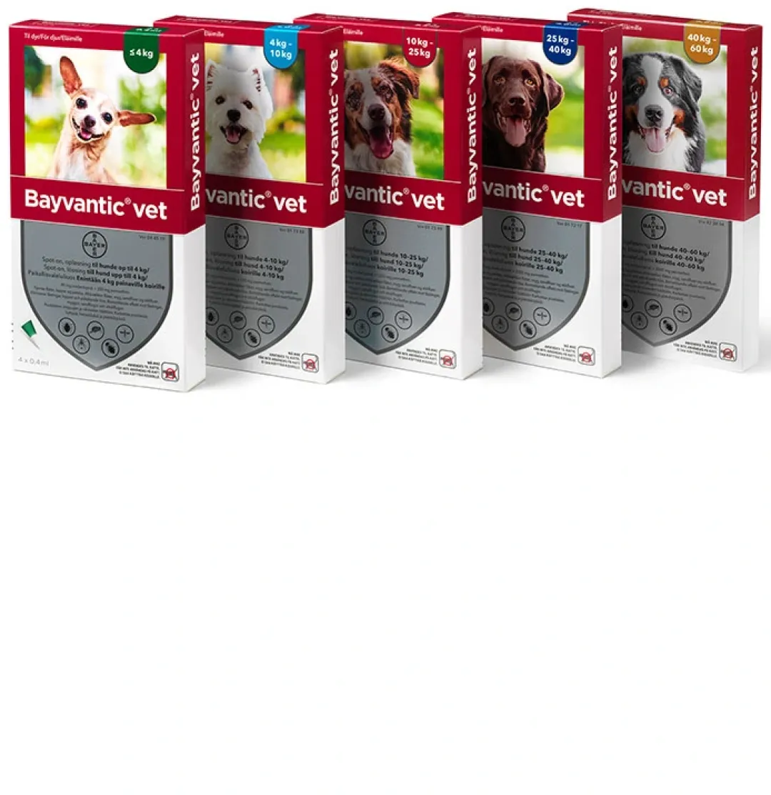 Bayvantic Vet hund 4-10 kg