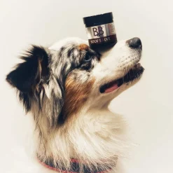 B&B Økologisk Hundeshampoo B&B Sølvsalve 60 ml