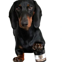 B&B Økologisk Hundeshampoo B&B Sølvsalve 60 ml