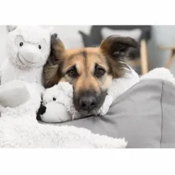 Trixie Be Eco Alpaka Eyleen - bamse i genbrugsplys til hunde