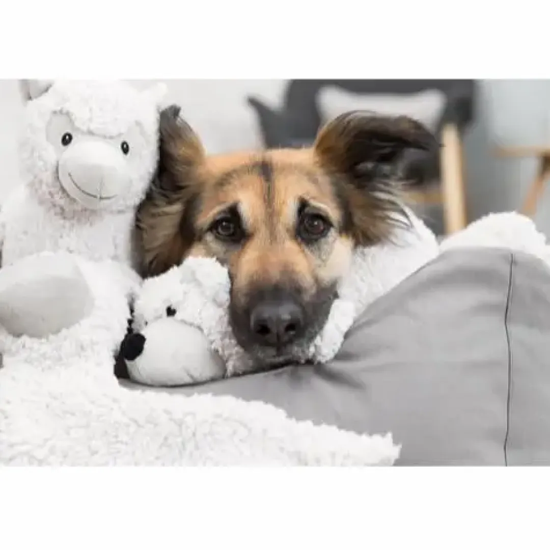 Trixie Be Eco Æsel Elenor - bamse i genbrugsplys til hunde