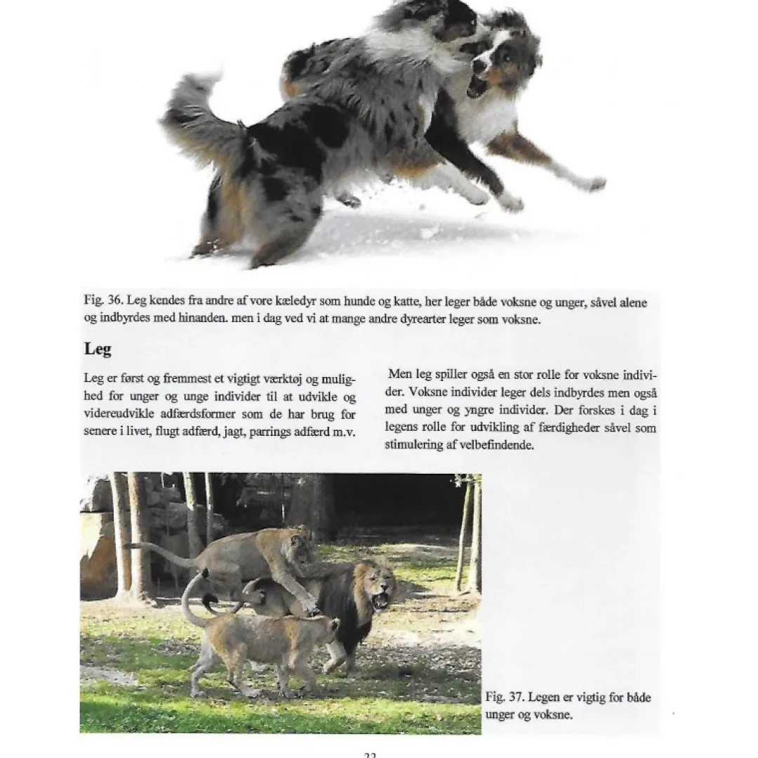 MiniZoo Berigelse af dyrenes miljø af Michael O. Jørgensen