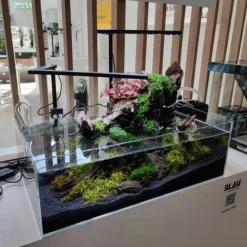 Blau - Aquaristic Blau Glasakvarium CUBIC Aquascaping Shallow 44 62x36x20 cm