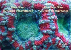 Blau - Aquaristic Blau Gran Cubic Super Reef 122 Black 366 liters Saltvandsakvarium