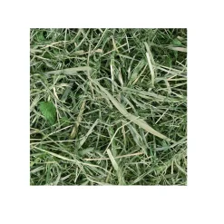 CHIPSI CLASSIC Chipsi Sunshine Timothy Hø 800 g