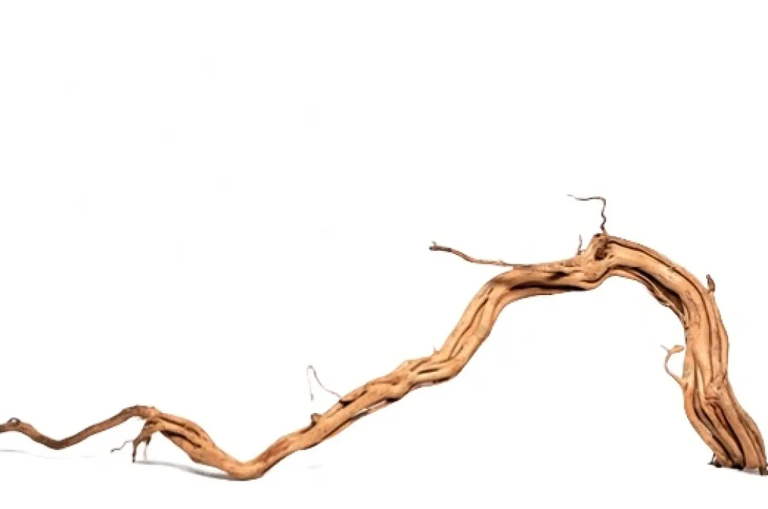Dekoration til Akvarier og Terrarier Curl Wood Krøllet træ Medium