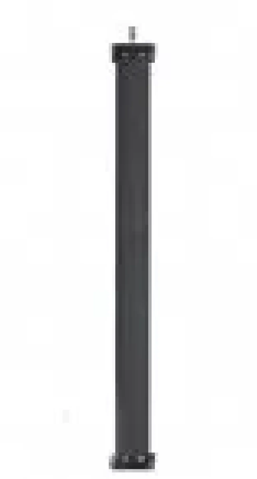 MiniZoo Dae Yang proffesionel cylinder luftsten 20 cm