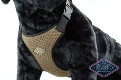 Europet Bernina International B.V. D & D All Season Hundesele XL - Hals 60-86 cm livvidde 68-94 cm