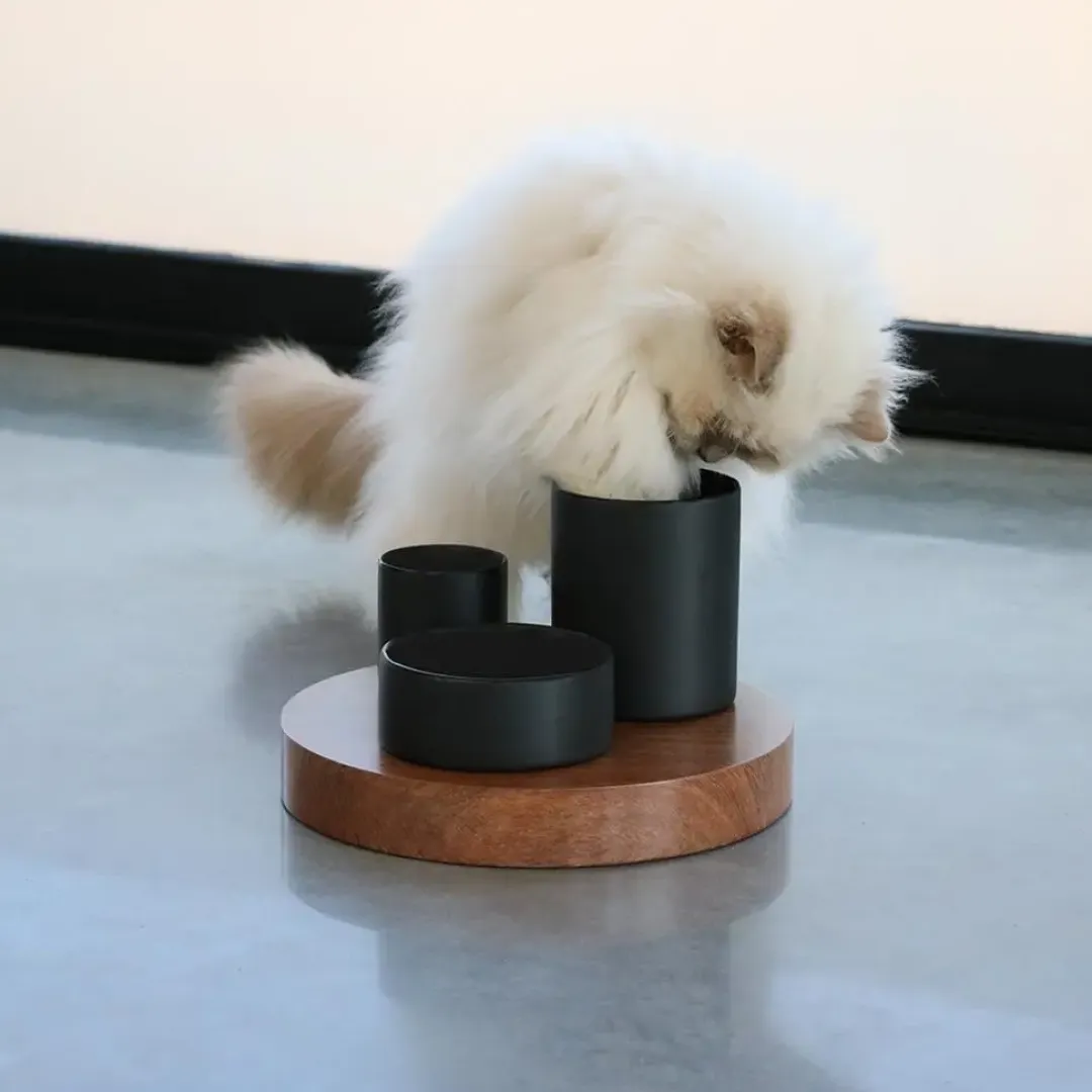 D&D Home D&D CAT IGGY Slow Feeder 27x27x19 cm Sort