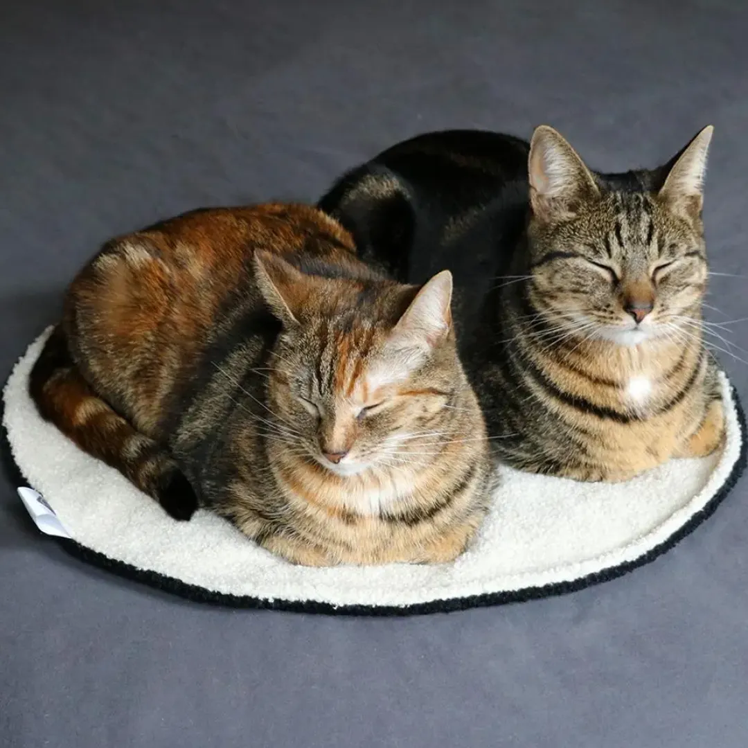 D&D Home D&D CAT - MAEVE Tæppe Ø 50 cm Sort/Beige