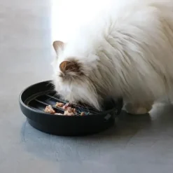 D&D Home D&D CAT SUE- Slow Feeder