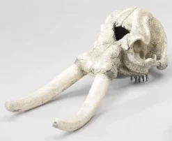 MiniZoo Decor elefant kranie