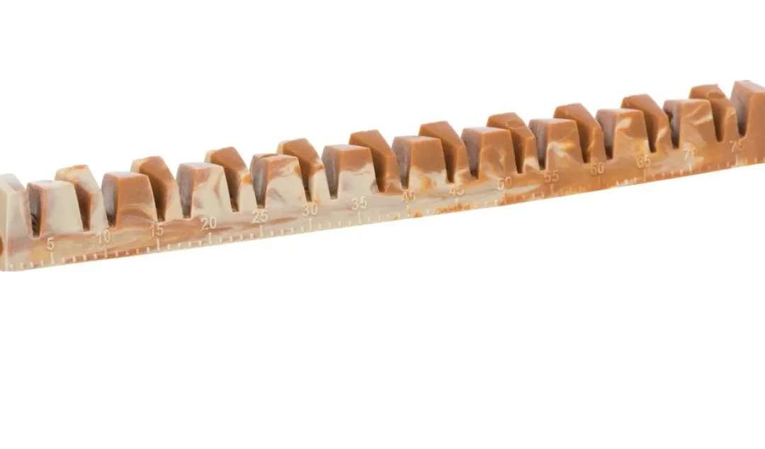 Trixie Denta Fun Veggie Tyggeben 22 cm (vegetabilsk) - stort vegansk tyggeben til hunde