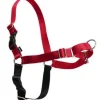 Petsafe Easy Walk Hundesele S Rød - Bryst 21,5-28 cm